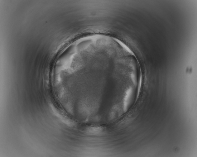 X0000112750202200909171234