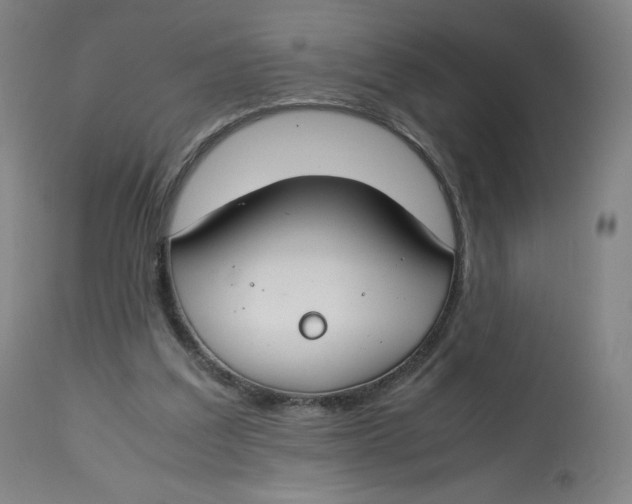 X0000112750203200909171234