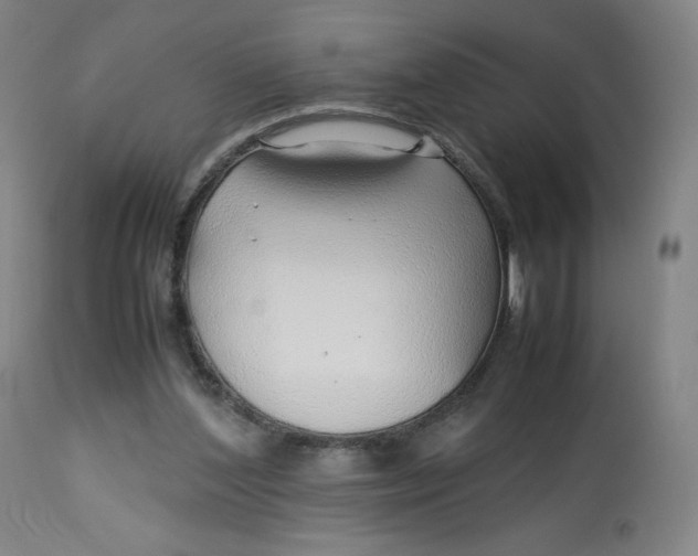 X0000112750204200909171234