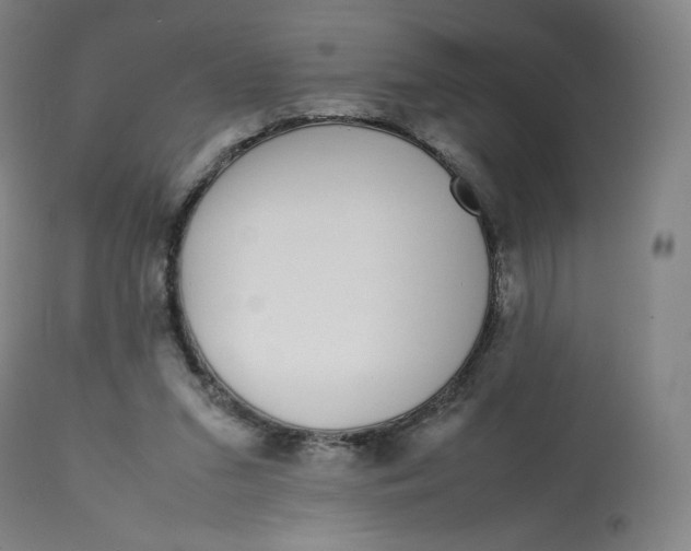 X0000112750207200909171234