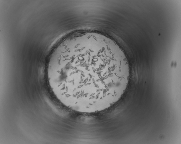 X0000112750208200909171234