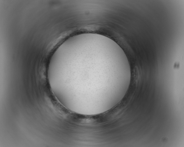 X0000112750212200909171234