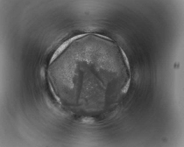 X0000112750214200909171234