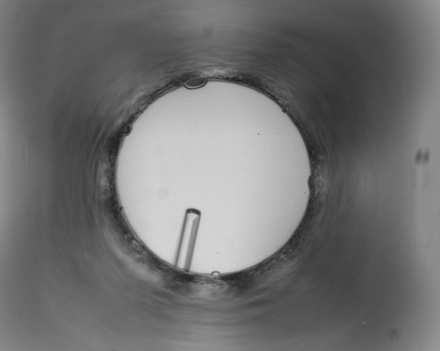 X0000112750215200909171234