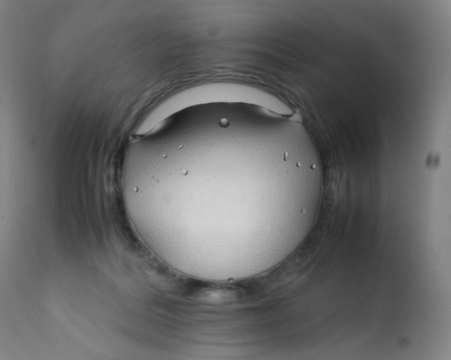 X0000112750220200909171234