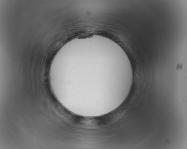 X0000112750221200909171234