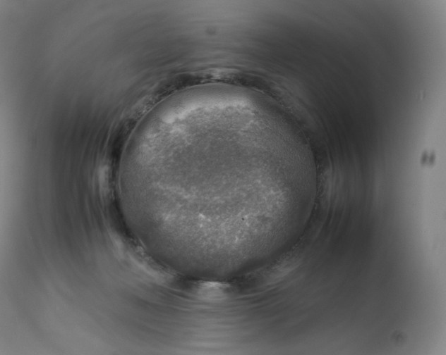 X0000112750222200909171234