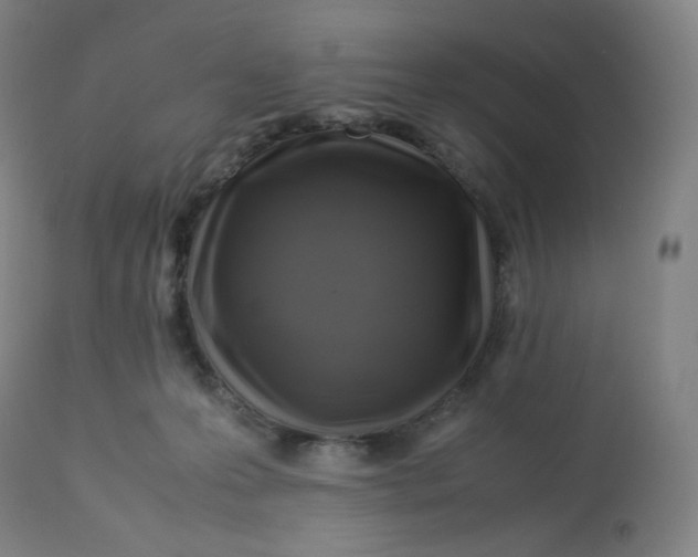 X0000112750223200909171234