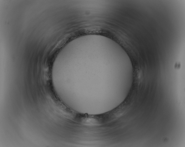 X0000112750224200909171234