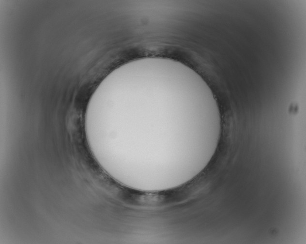 X0000112750225200909171234