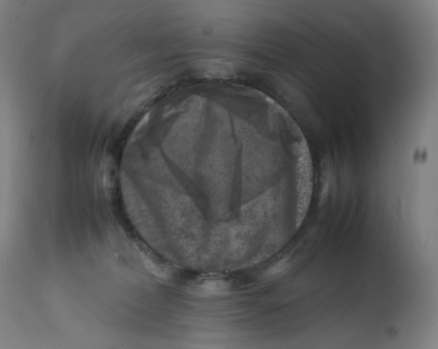 X0000112750228200909171234