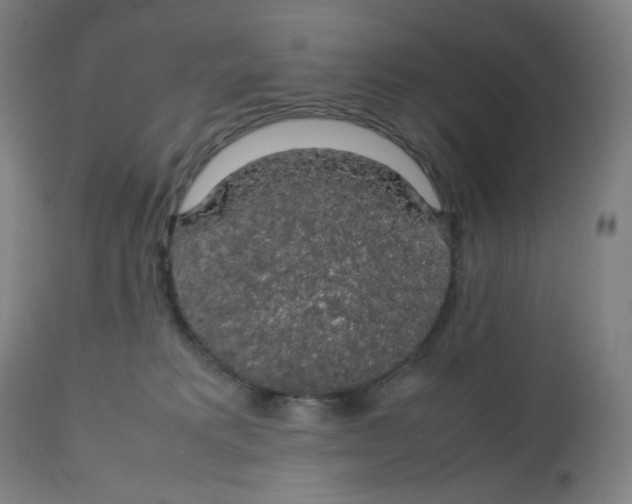 X0000112750229200909171234