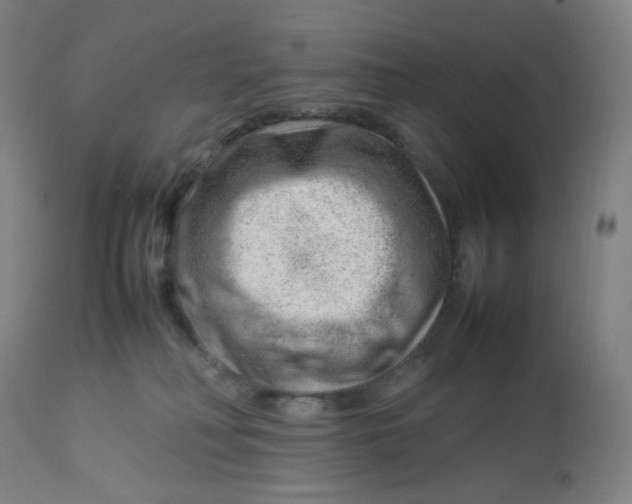 X0000112750230200909171234