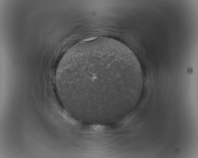 X0000112750233200909171234