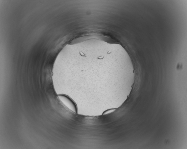 X0000112750240200909171234