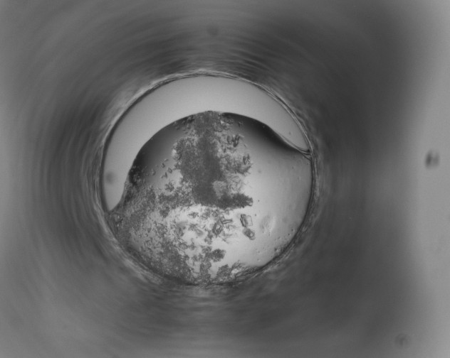 X0000112750241200909171233