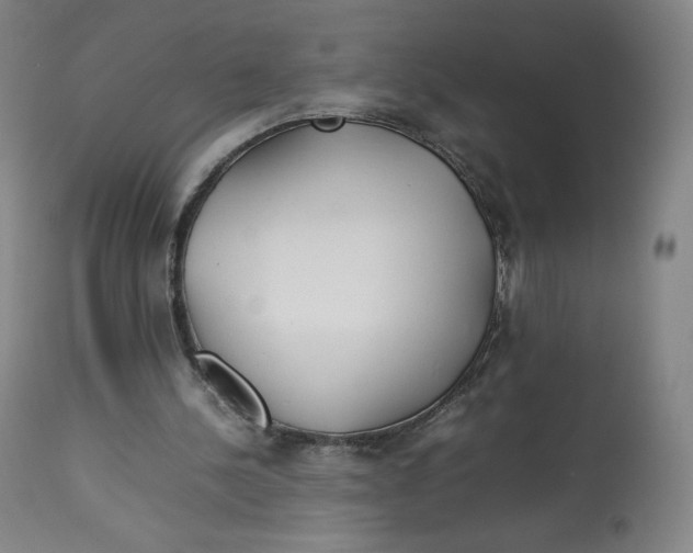 X0000112750244200909171233