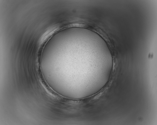 X0000112750245200909171233