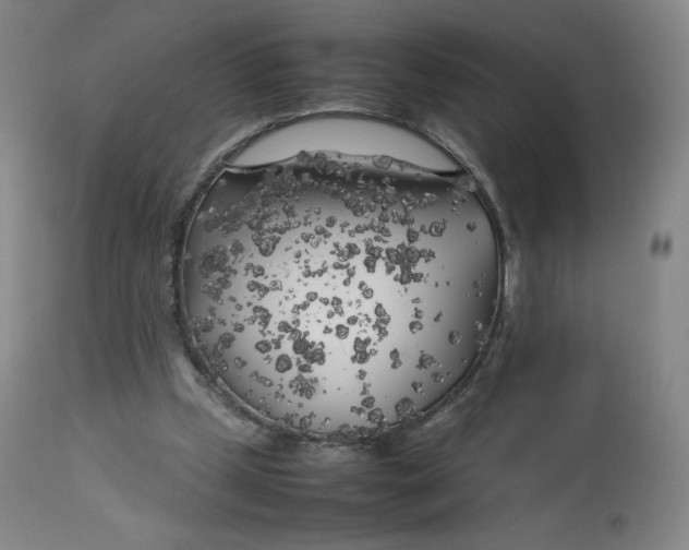 X0000112750249200909171233