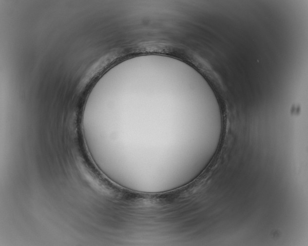 X0000112750250200909171233