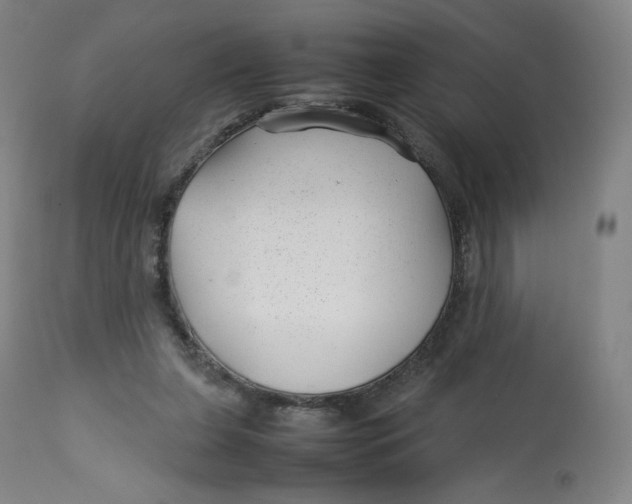 X0000112750255200909171233