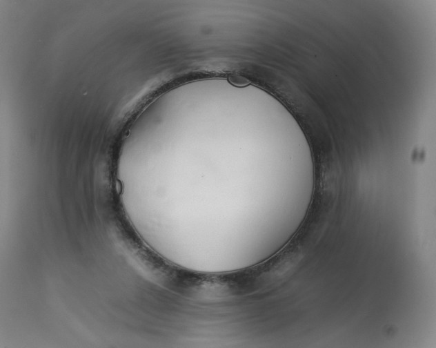 X0000112750256200909171233