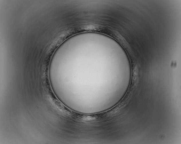 X0000112750257200909171233