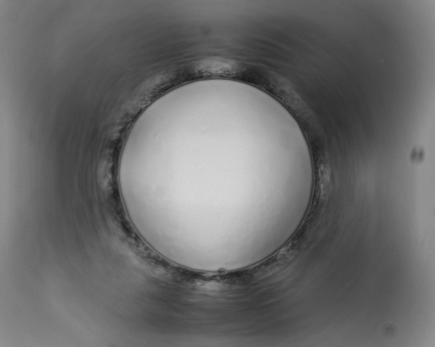 X0000112750259200909171233