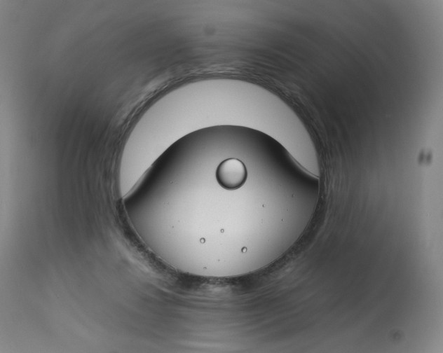 X0000112750260200909171233