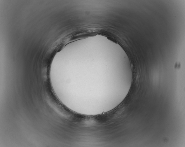 X0000112750262200909171233