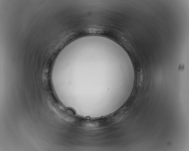 X0000112750263200909171233