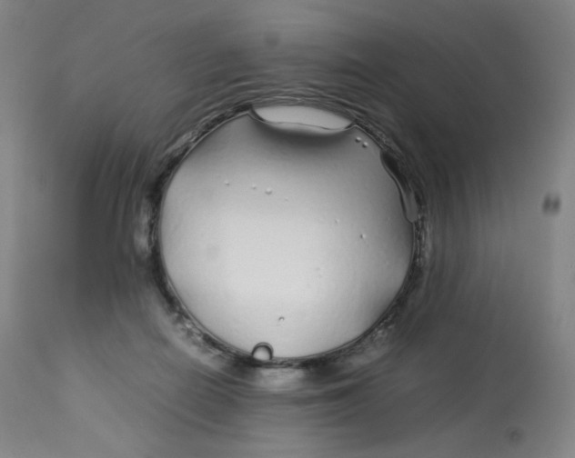 X0000112750266200909171233