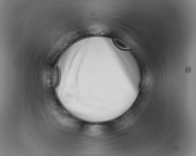 X0000112750268200909171233