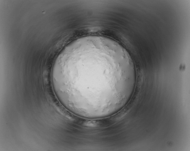 X0000112750269200909171233