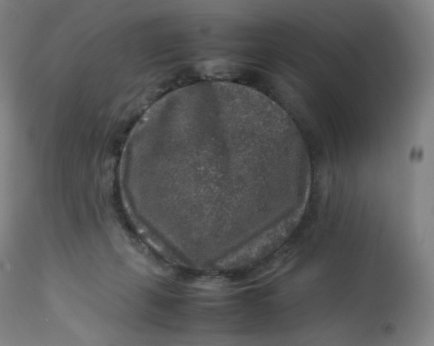 X0000112750271200909171233