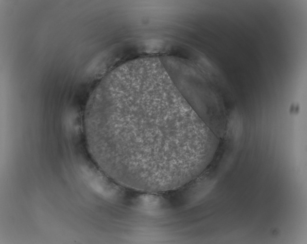 X0000112750272200909171233