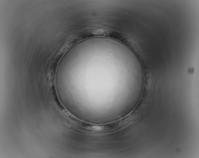 X0000112750273200909171233