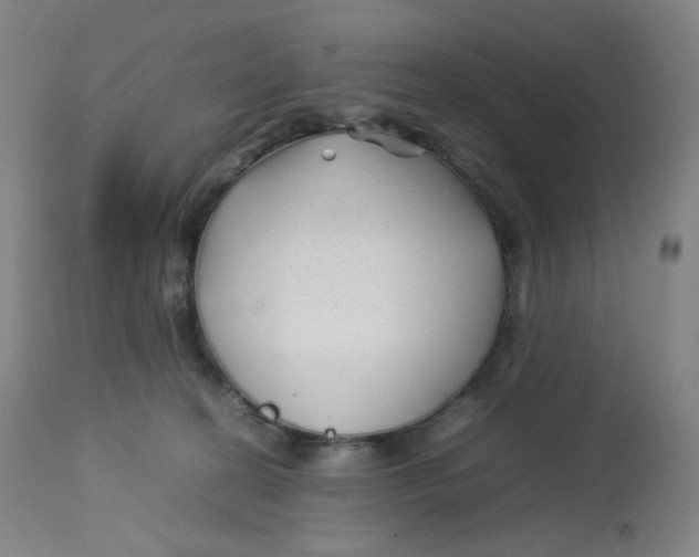 X0000112750274200909171233