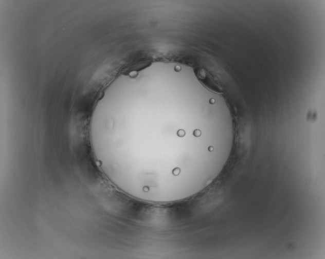 X0000112750276200909171233