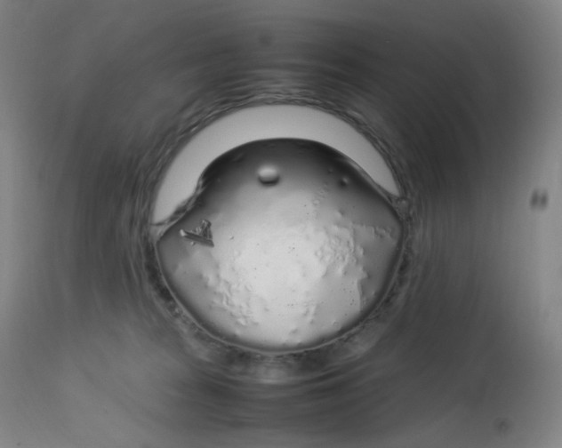 X0000112750277200909171233
