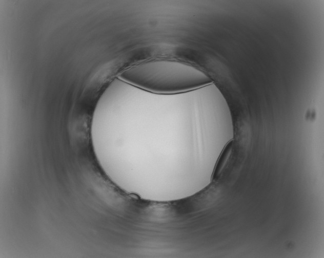 X0000112750280200909171234