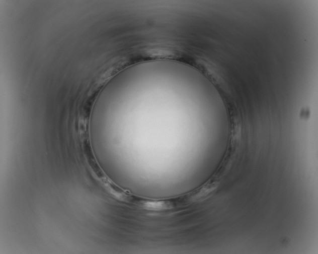 X0000112750281200909171234