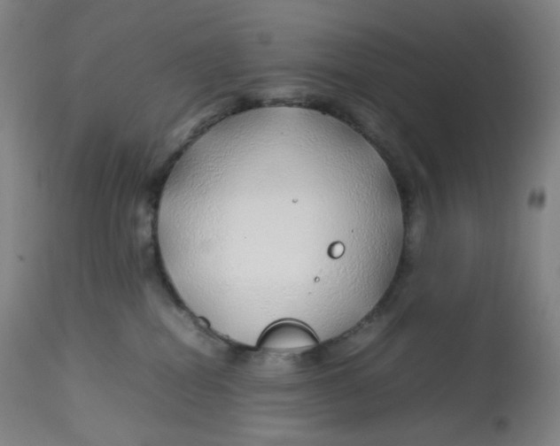 X0000112750282200909171234