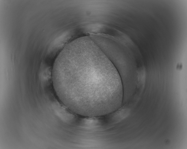 X0000112750284200909171234