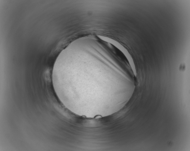 X0000112750286200909171234