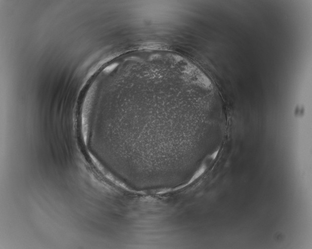 X0000112750290200909171233