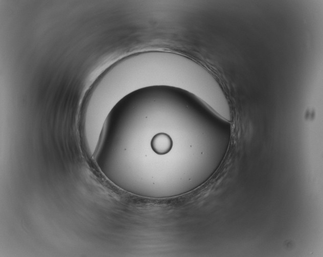 X0000112750292200909171233