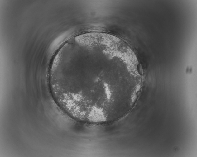 X0000112750293200909171233