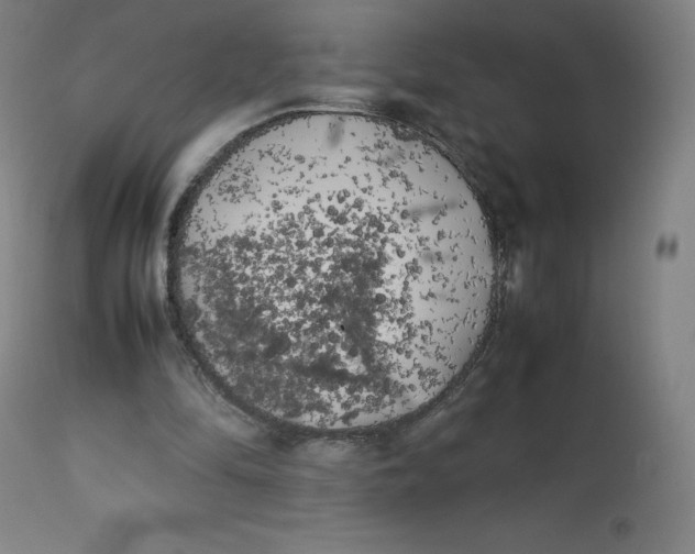 X0000112750294200909171233