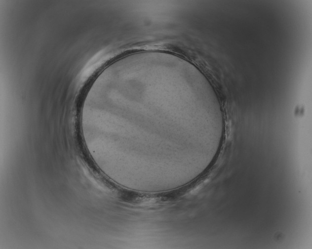 X0000112750295200909171233